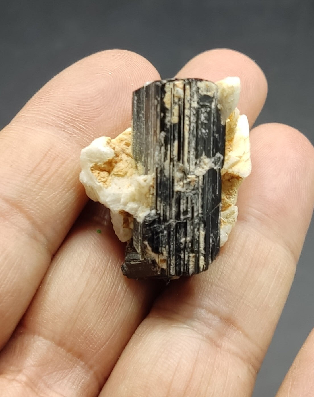 An aesthetic specimen of black tourmaline crystal on matrix 21 grams