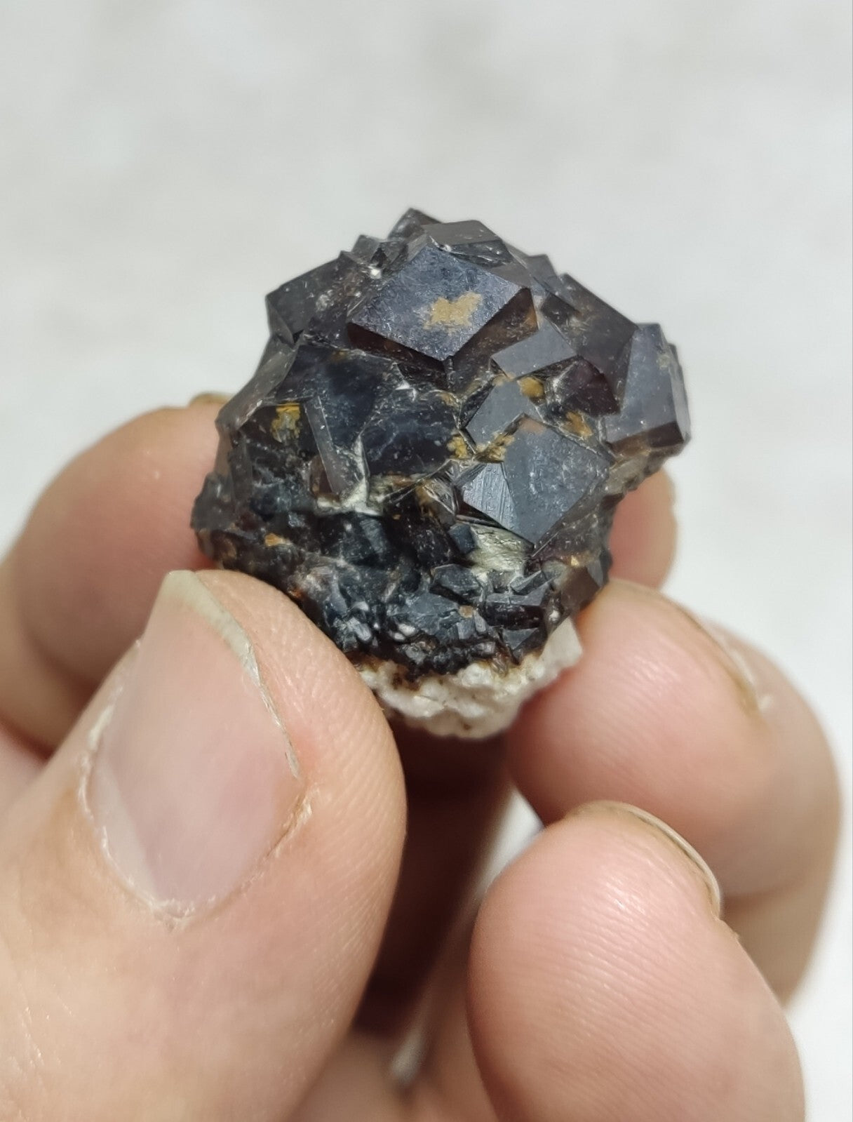 An Aesthetic specimen of andradite garnets on matrix 18 grams