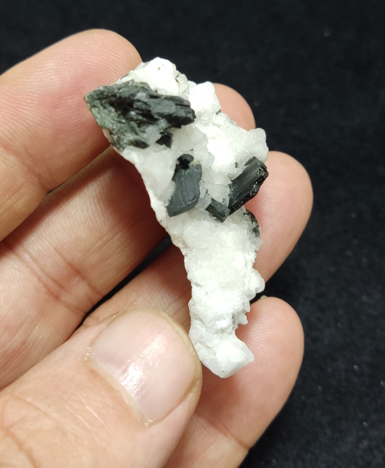 An aesthetic combo specimen of aegirine on albite 18 grams