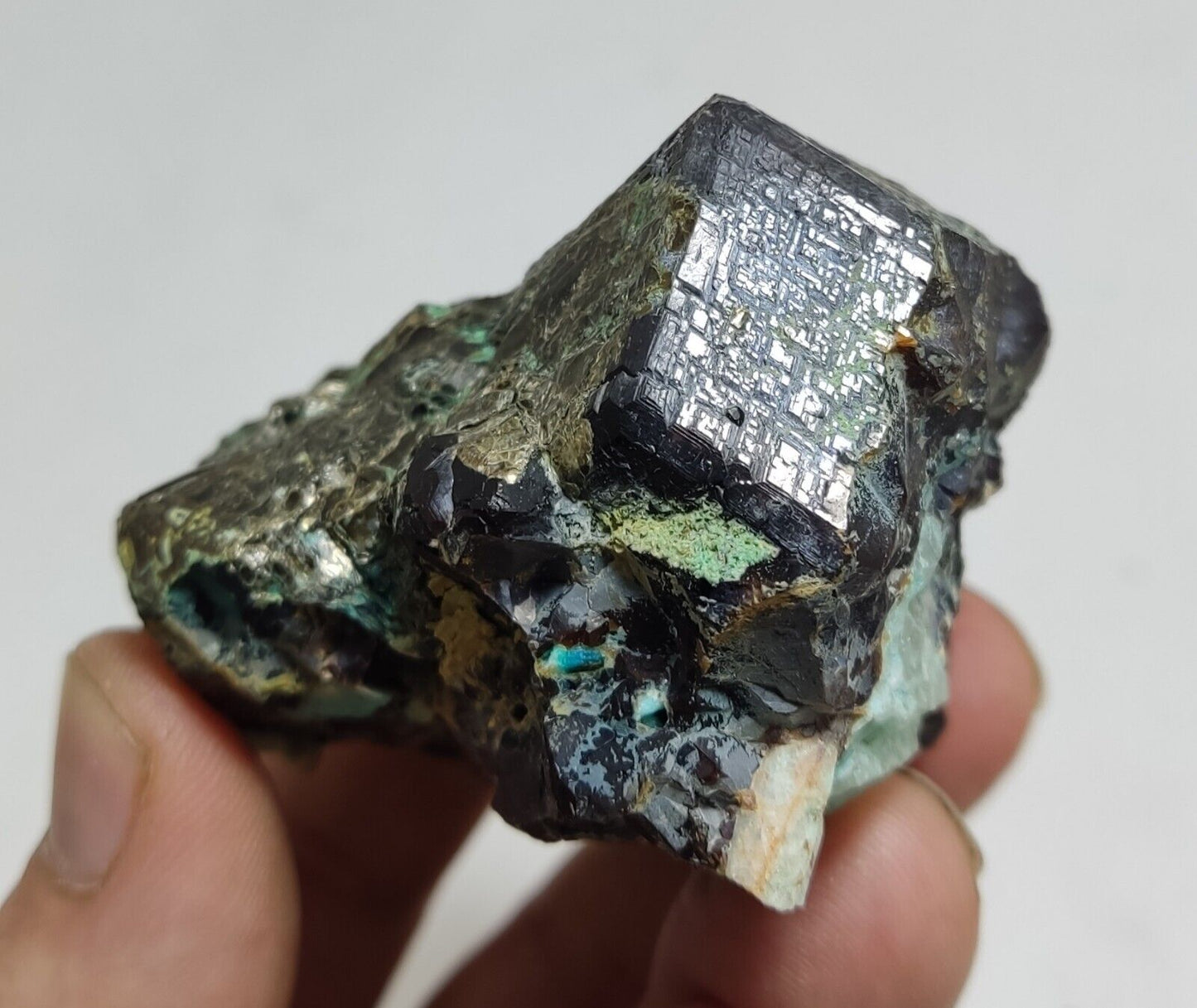 233 grams Aesthetic specimen Garnets cluster andradite garnets natural garnets