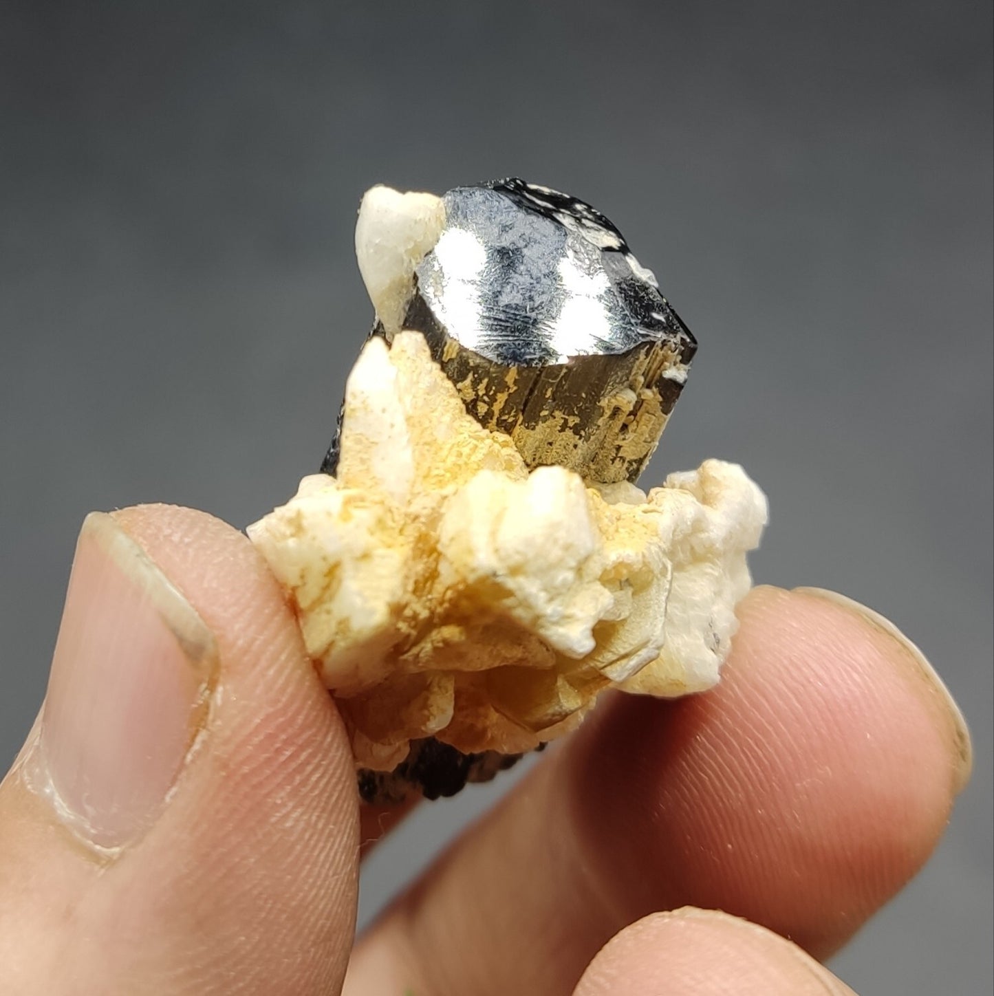 An aesthetic specimen of black tourmaline crystal on matrix 21 grams