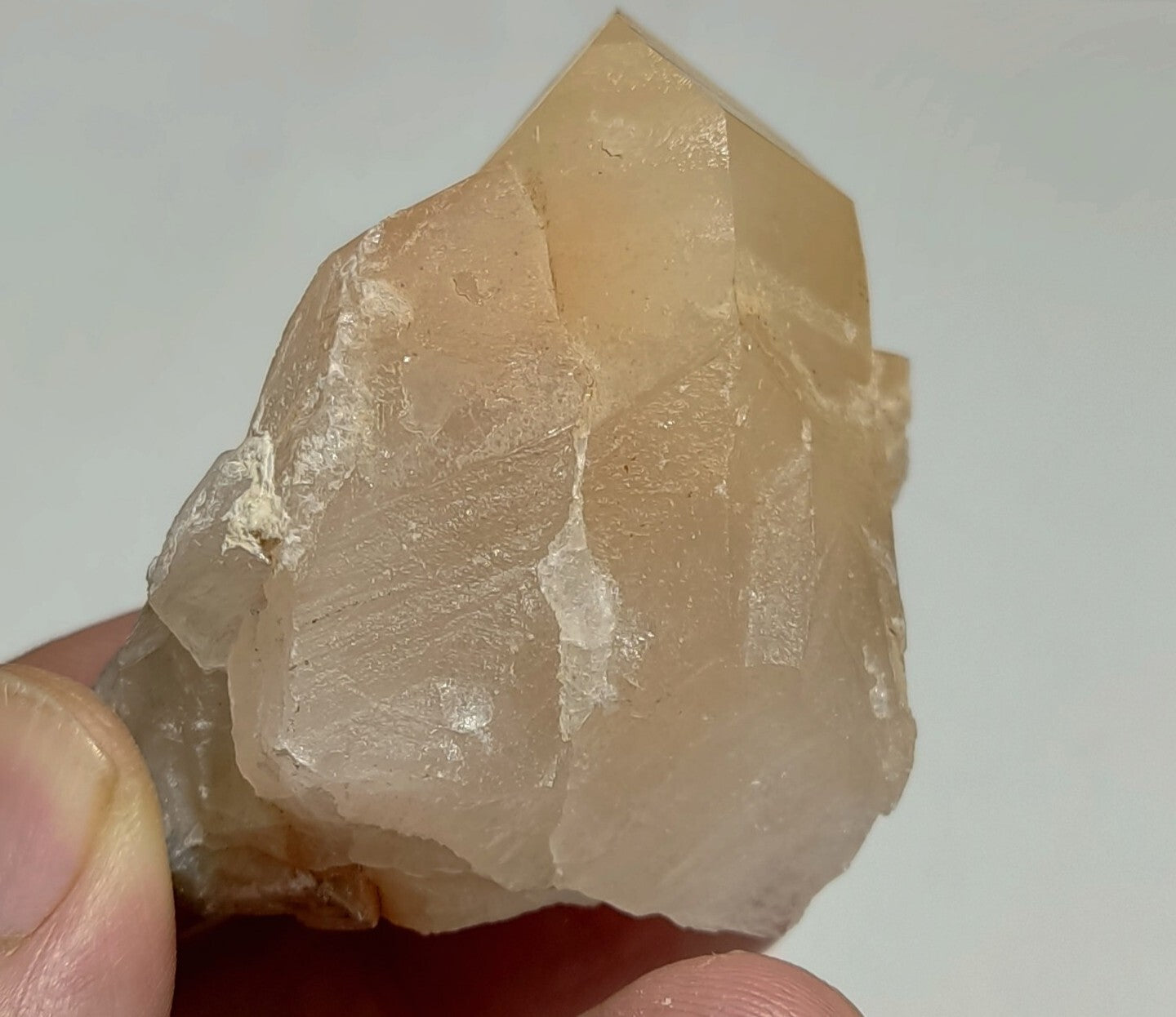 Amphibole included Quartz crystal 88 Grams