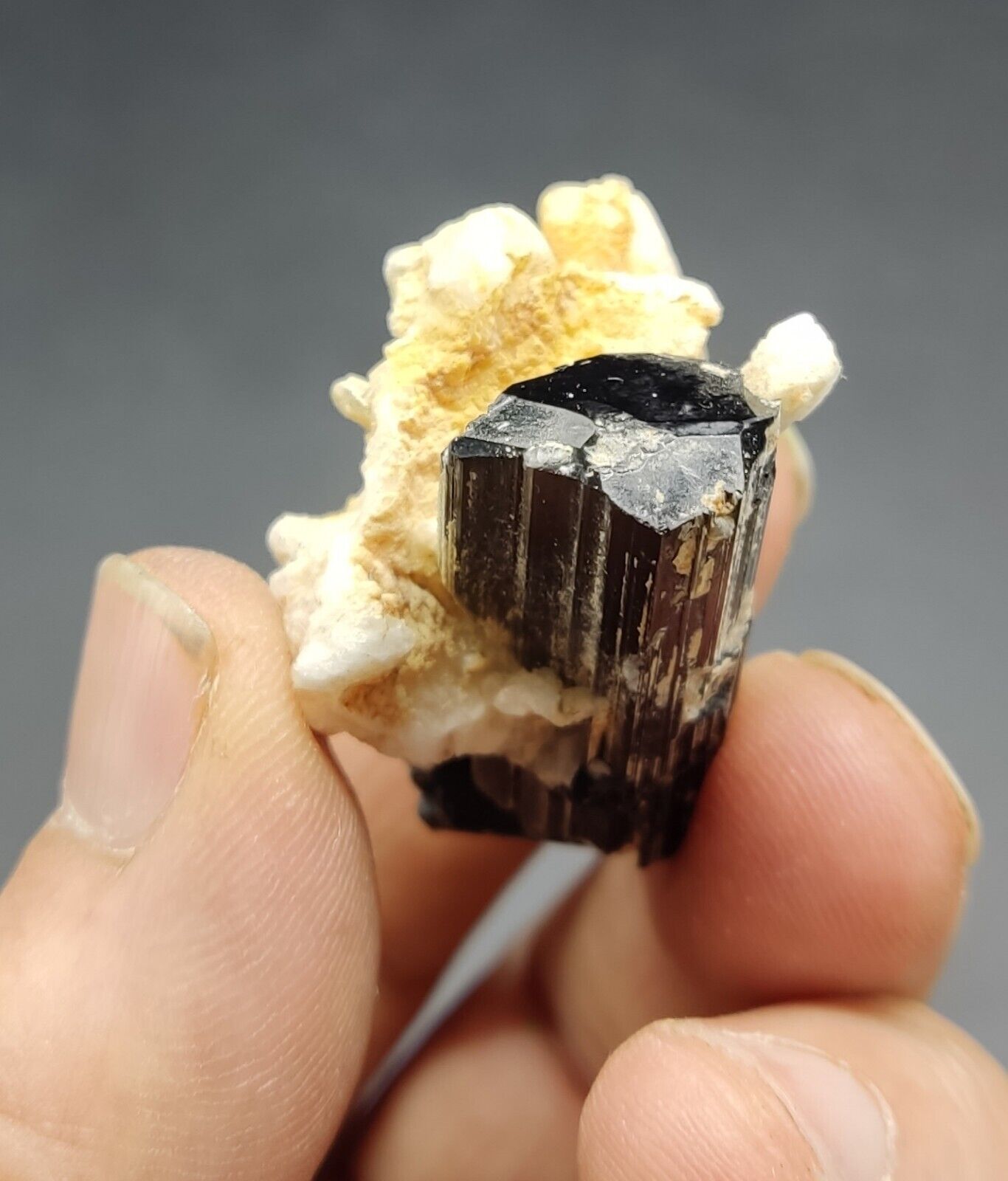 An aesthetic specimen of black tourmaline crystal on matrix 21 grams