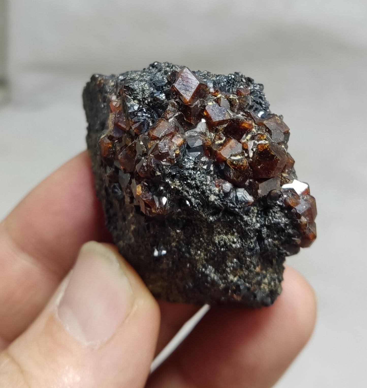 An Aesthetic specimen of andradite garnets on matrix 71 grams