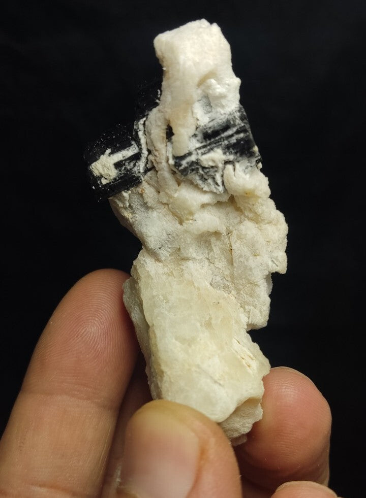 Natural Terminated Black Tourmaline Crystal with Feldspar/Albite 66 grams