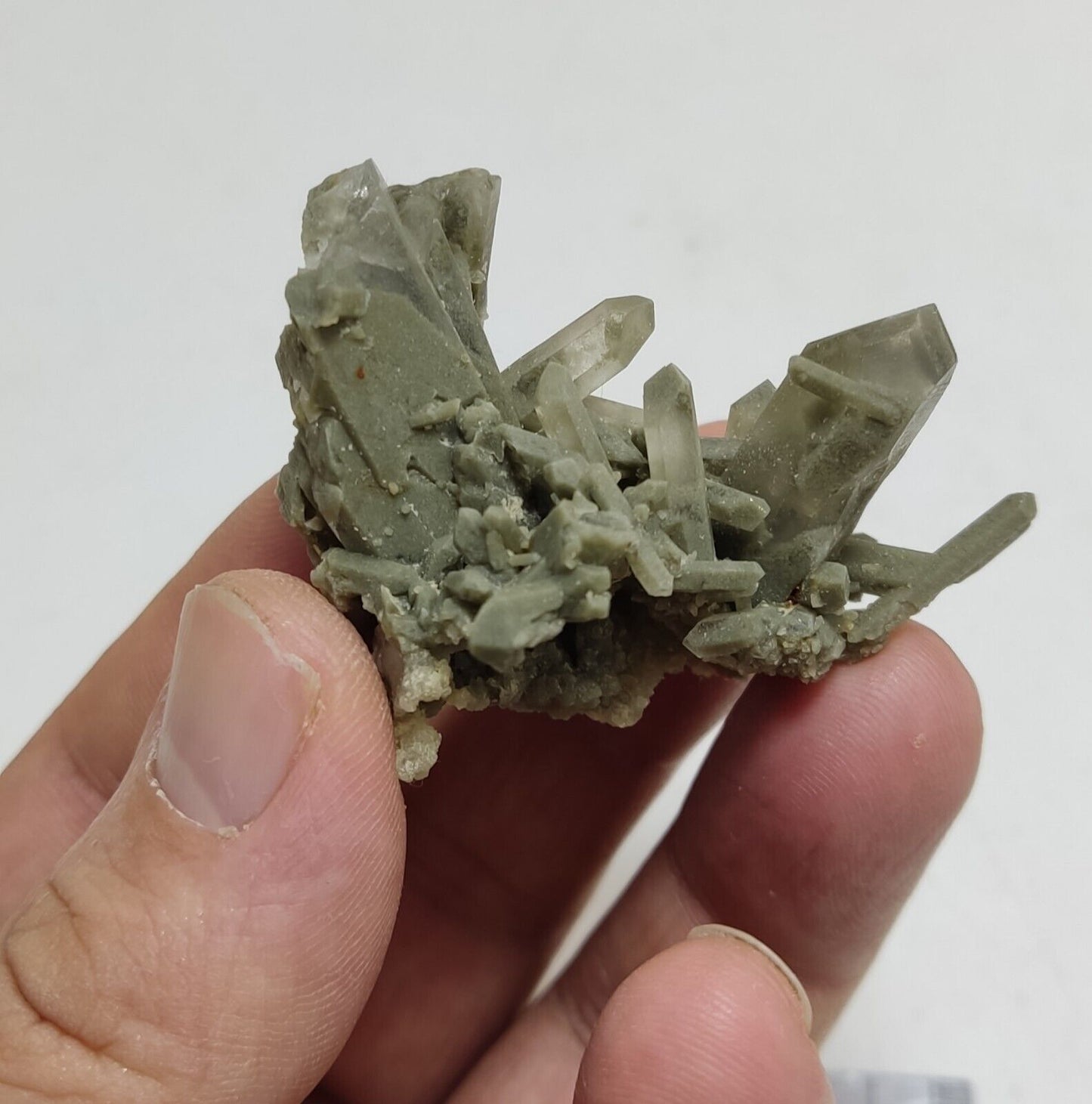 A very Aesthetic Natural beautifully terminated Chlorite Quartz cluster 33 grams