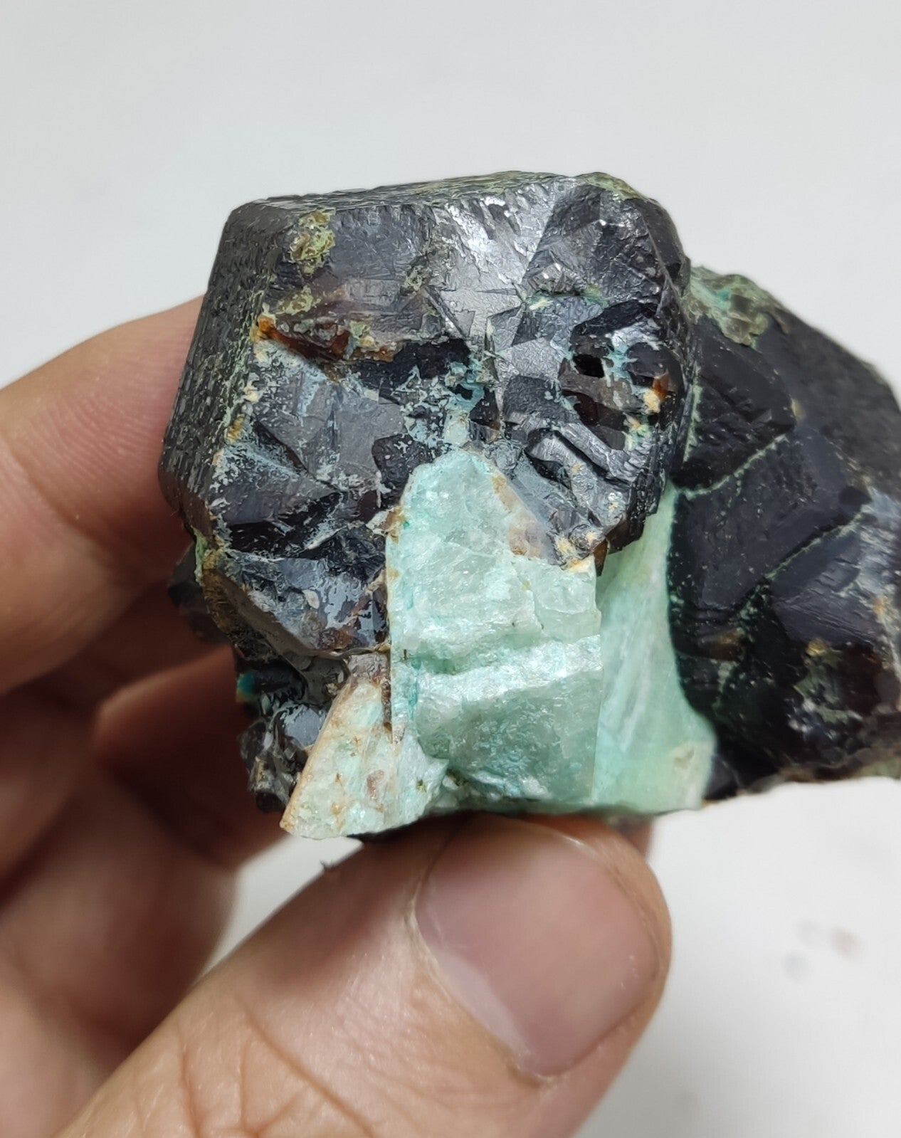 233 grams Aesthetic specimen Garnets cluster andradite garnets natural garnets