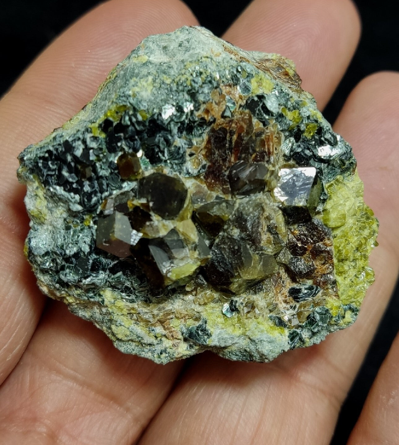 Andradite garnets on matrix with epidote and clinochlore 56 grams