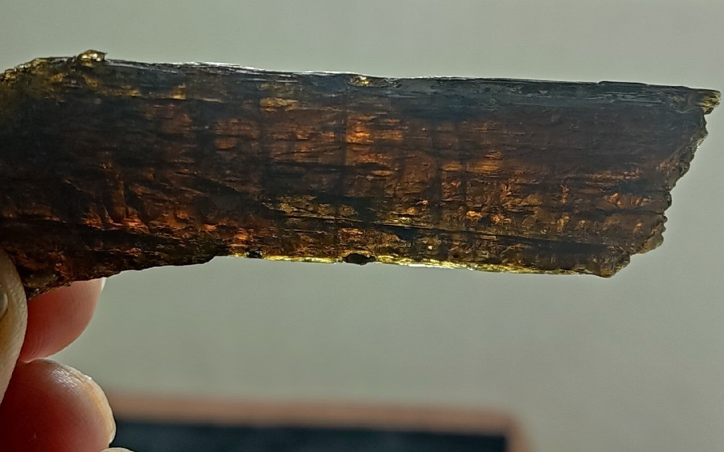 Single etched Epidote Crystal 34 grams