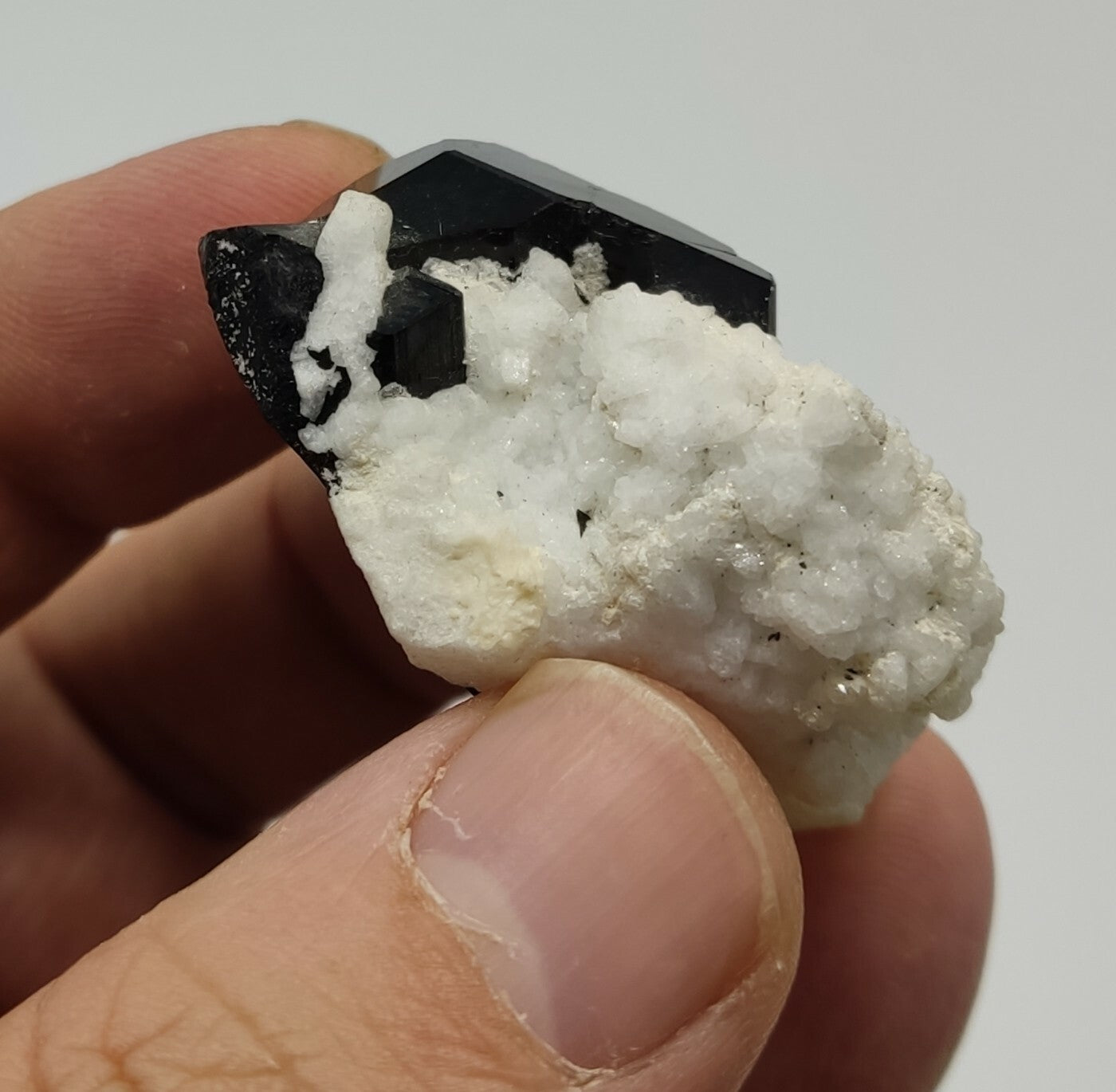 An Aesthetic Natural black Tourmaline specimen with albite 41 grams