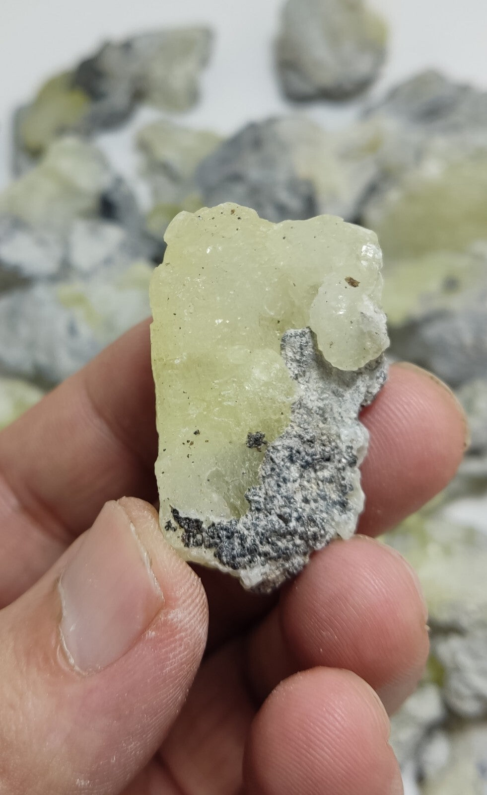 840 grams Brucite on matrix with chromite