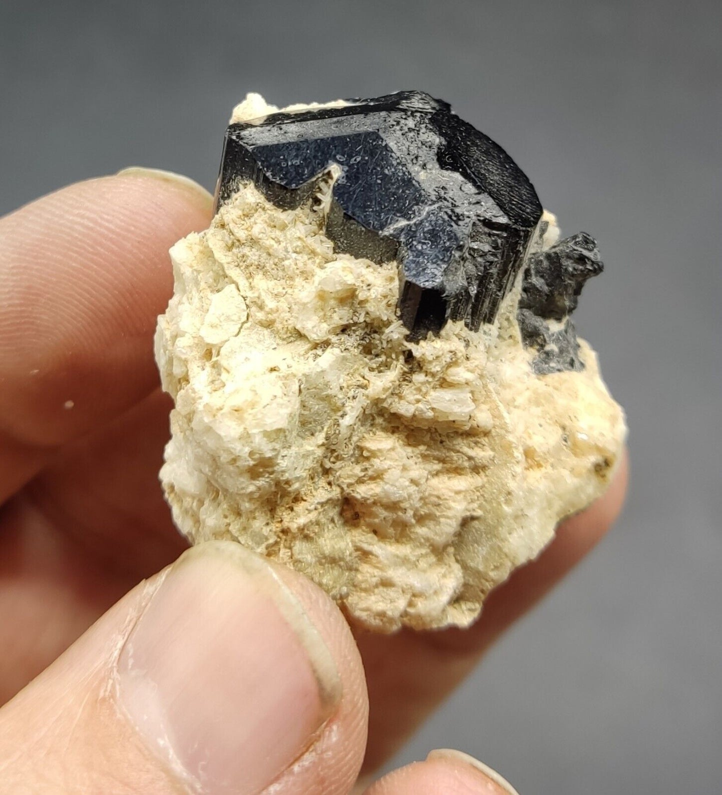 An aesthetic specimen of black tourmaline crystal on matrix 21 grams