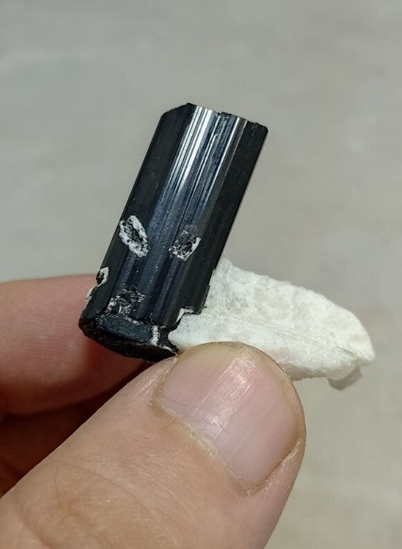 Black Tourmalines Crystal on Matrix of Albite 24 grams