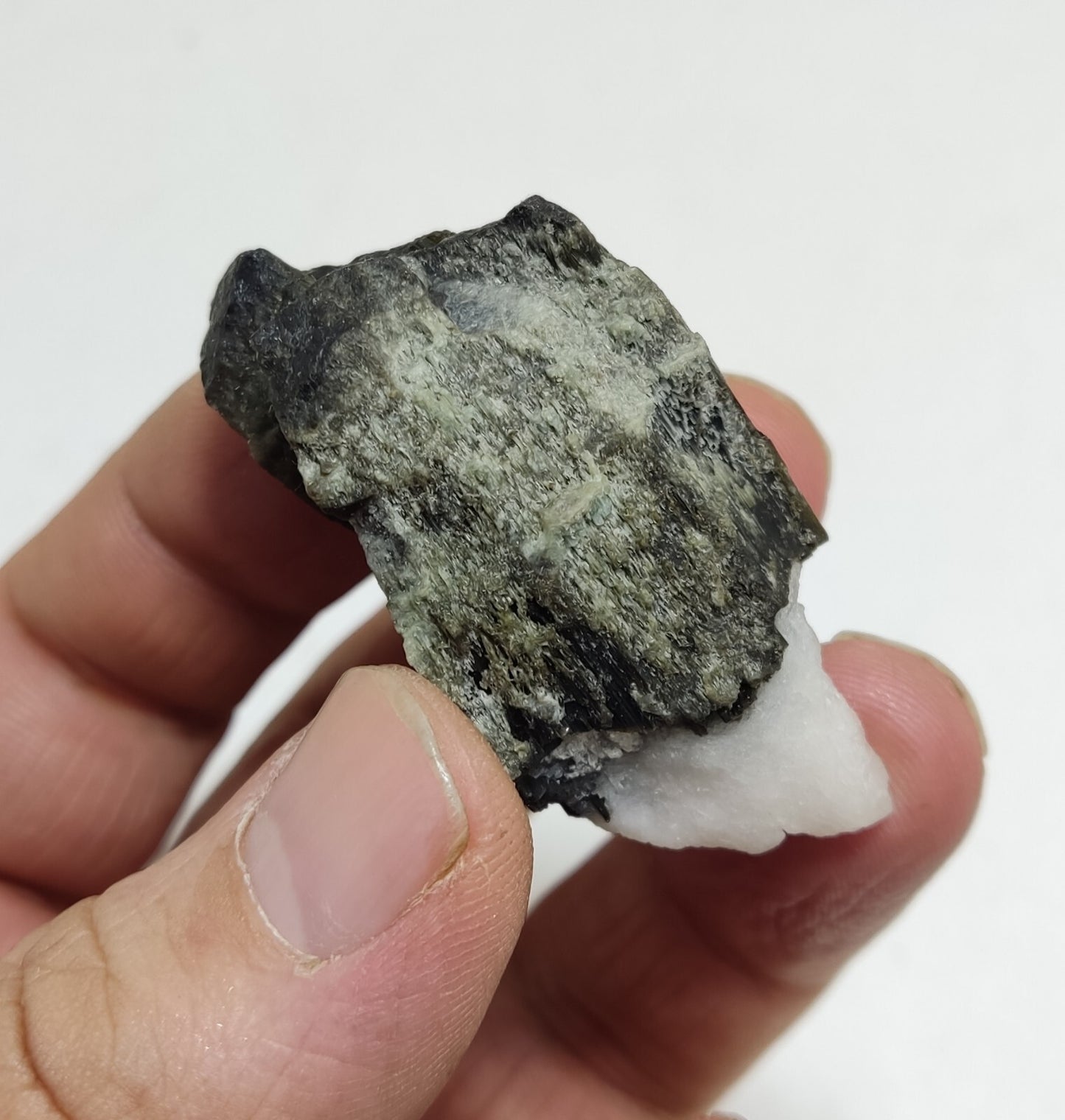 An aesthetic specimen of tourmaline crystals 36 grams