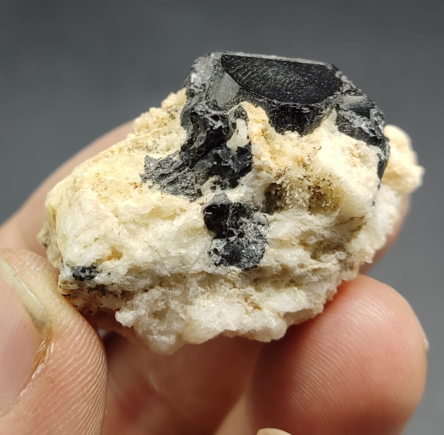 An aesthetic specimen of black tourmaline crystal on matrix 21 grams
