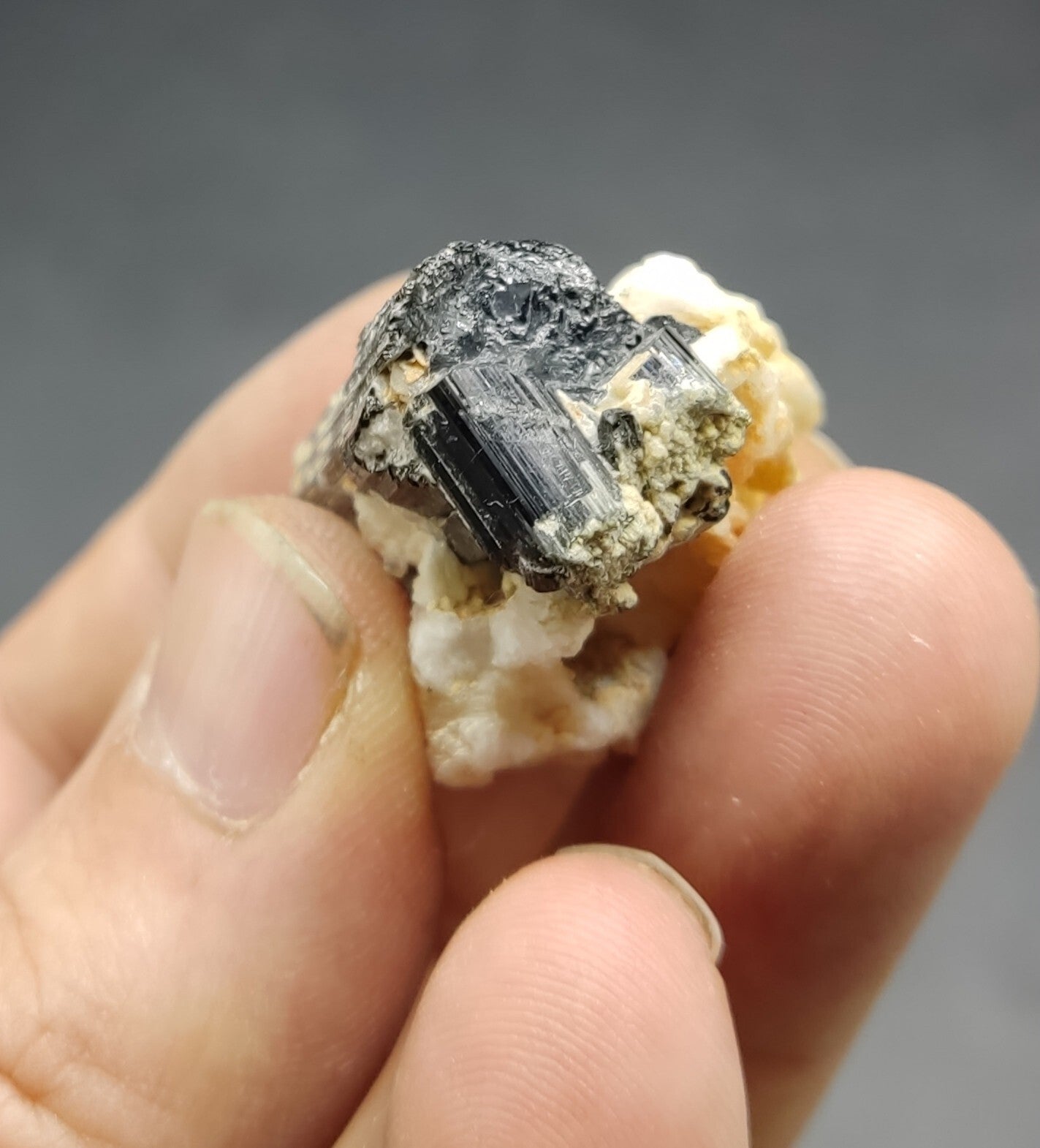 An aesthetic specimen of black tourmaline crystal on matrix 21 grams