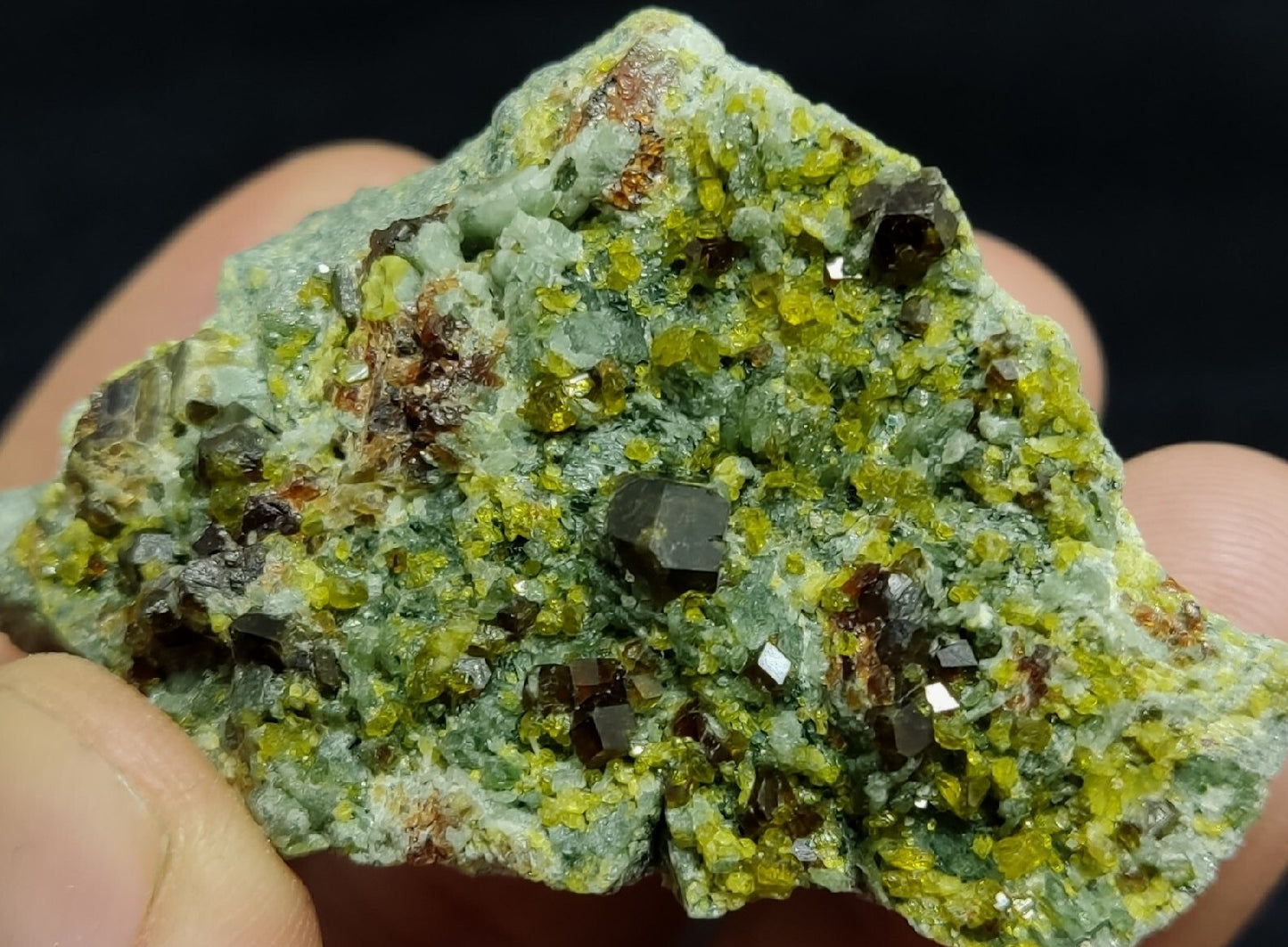 Andradite Garnets Crystals on matrix with Epidotes and Diopside 80 grams