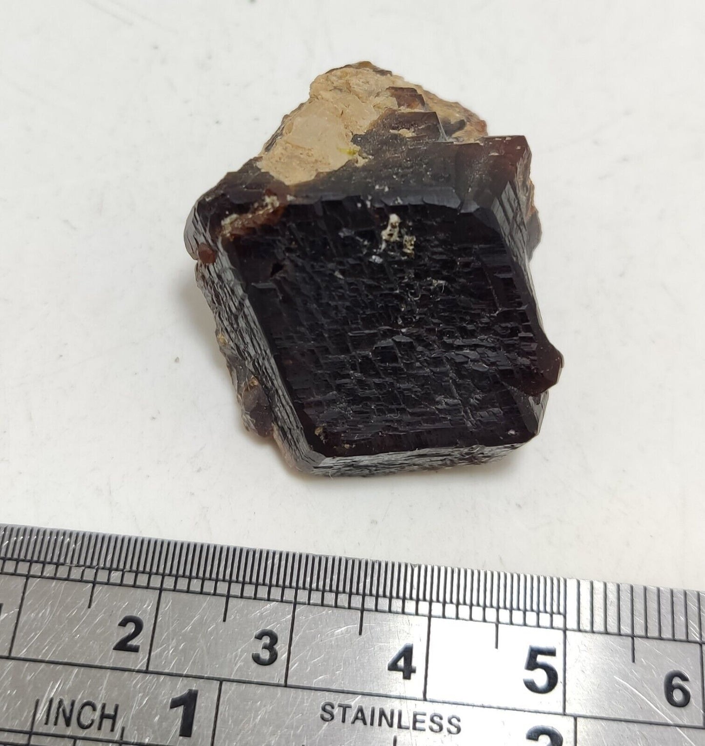 33 grams Aesthetic specimen Garnets cluster andradite garnets natural garnets