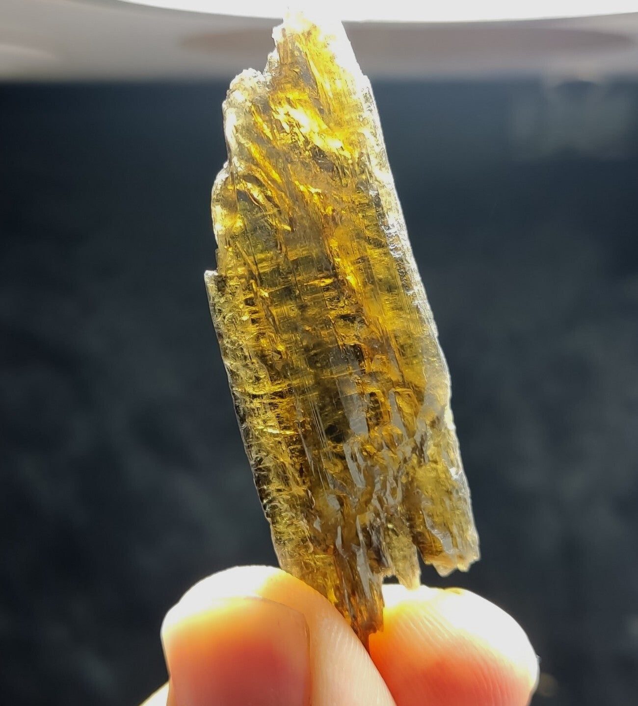 Single etched Epidote Crystal 11 grams