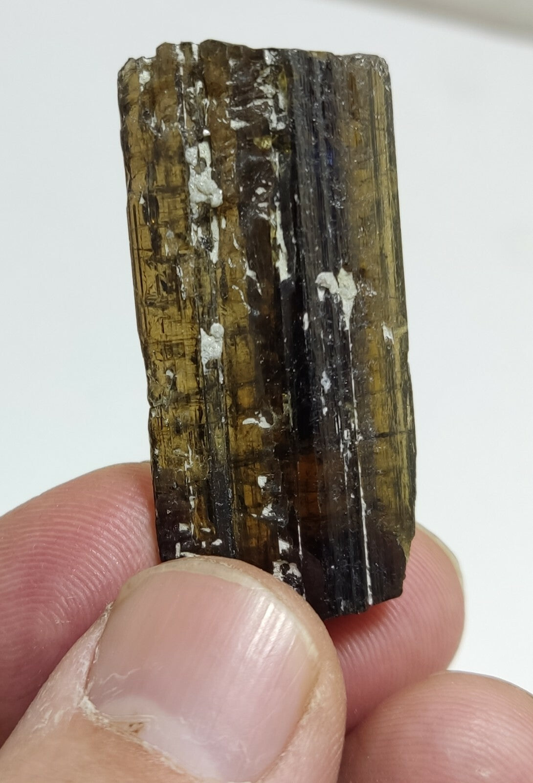 An aesthetic specimen of epidote crystal 12 grams
