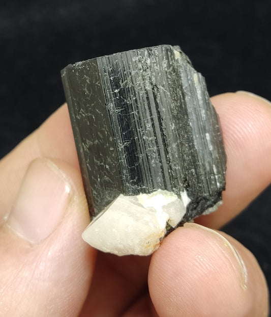 An Aesthetic specimen of black Tourmaline crystal with apatite 26 grams