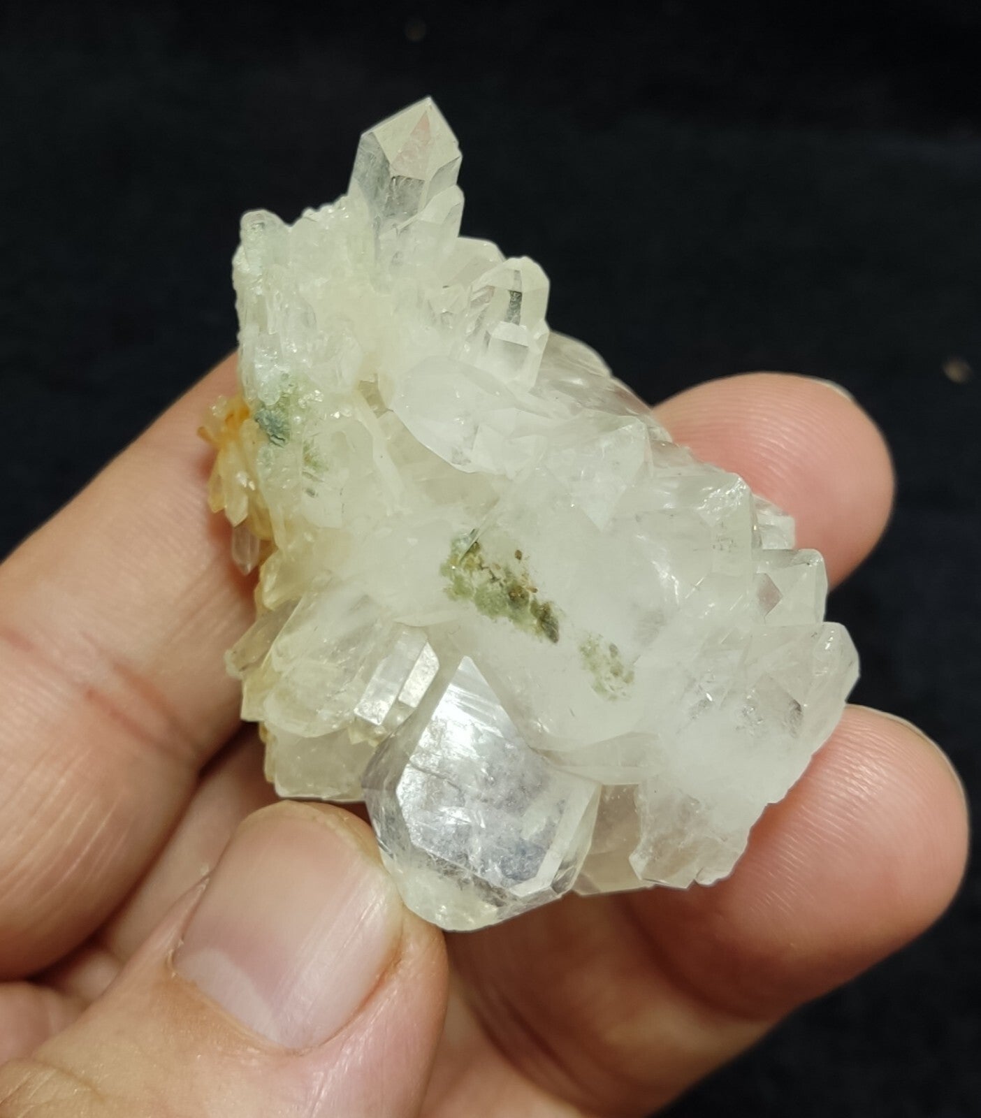 An Aesthetic terminated Quartz crystal with chlorite inclusions 43 grams