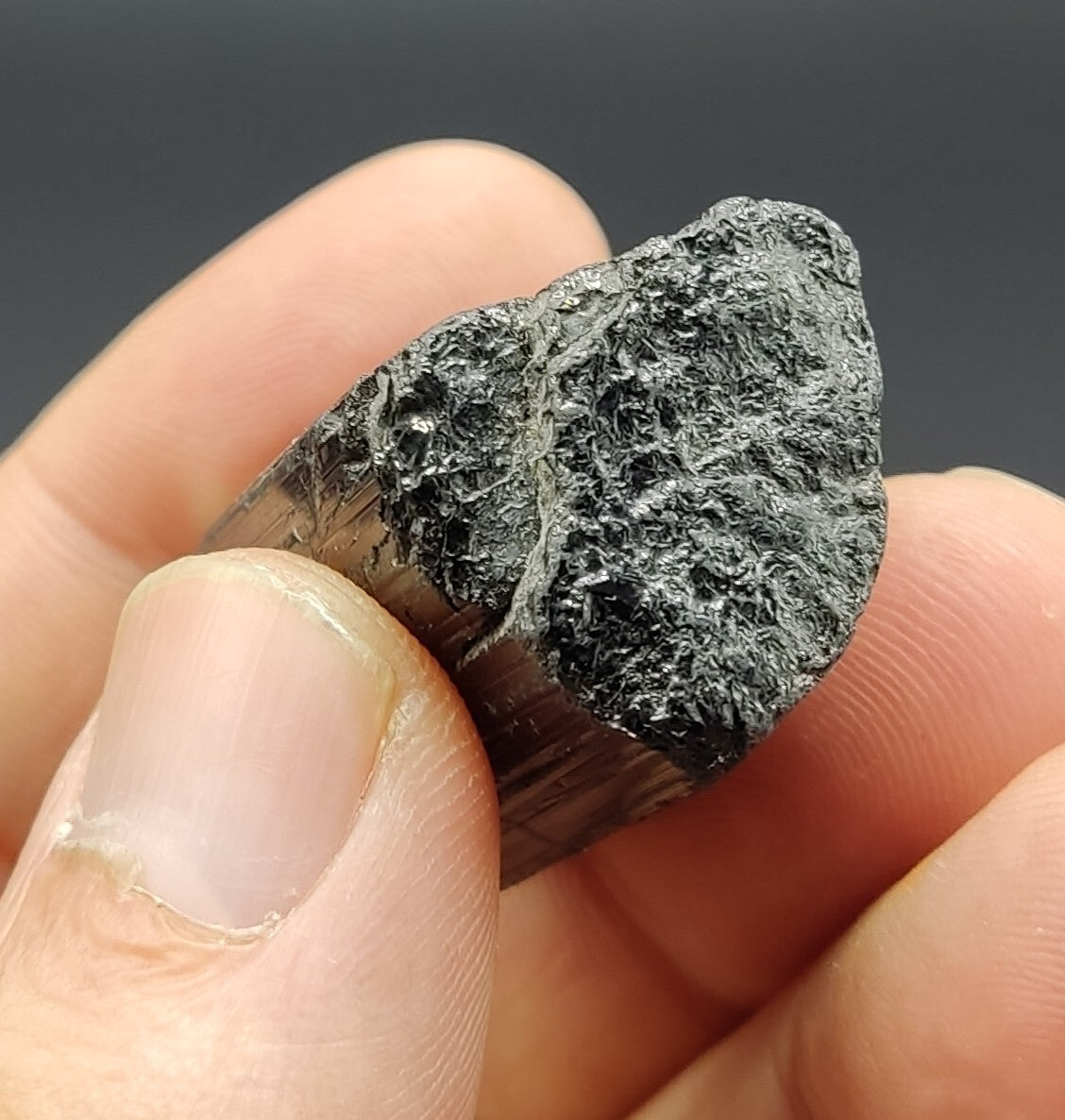 An amazing specimen of terminated black tourmaline 32 grams