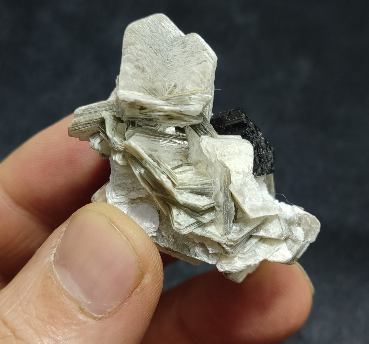 An Aesthetic specimen of muscovite with Tourmaline and albite 27 grams