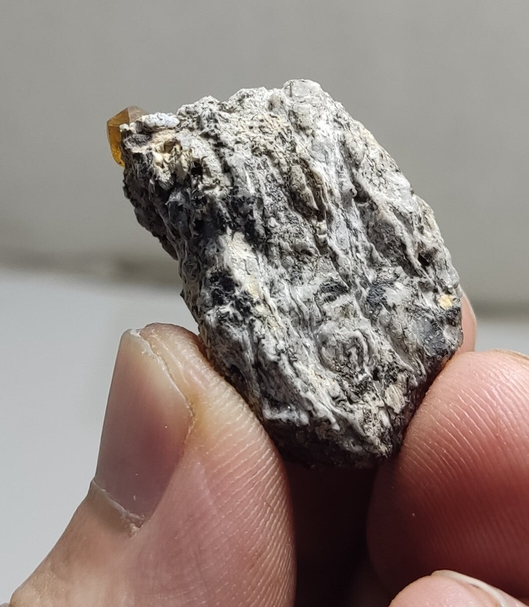 An Aesthetic Natural terminated specimen of rare xenotime on matrix 12 grams