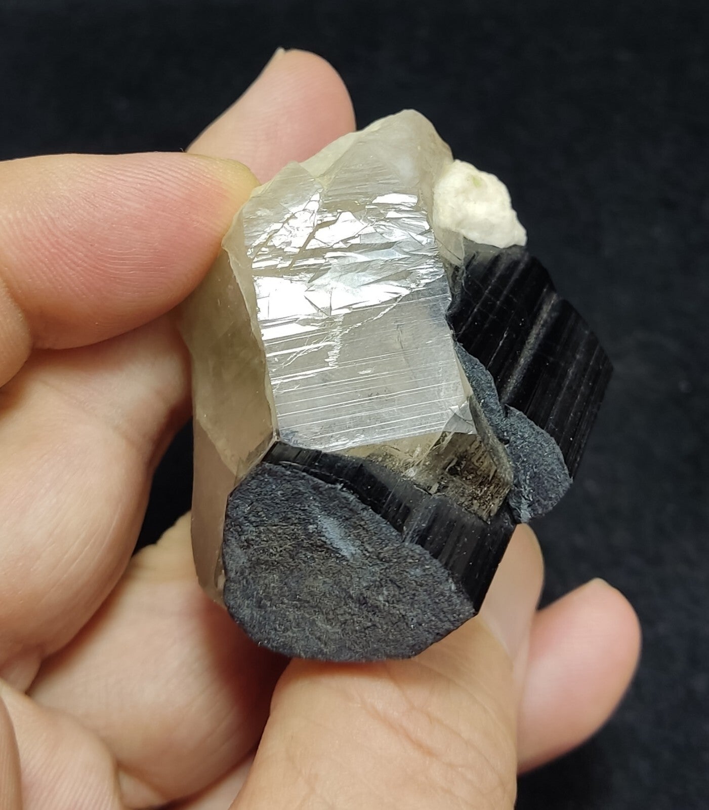 An Aesthetic specimen of black Tourmaline crystal with quartz 87 grams