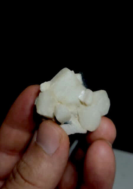 Tourmaline on albite