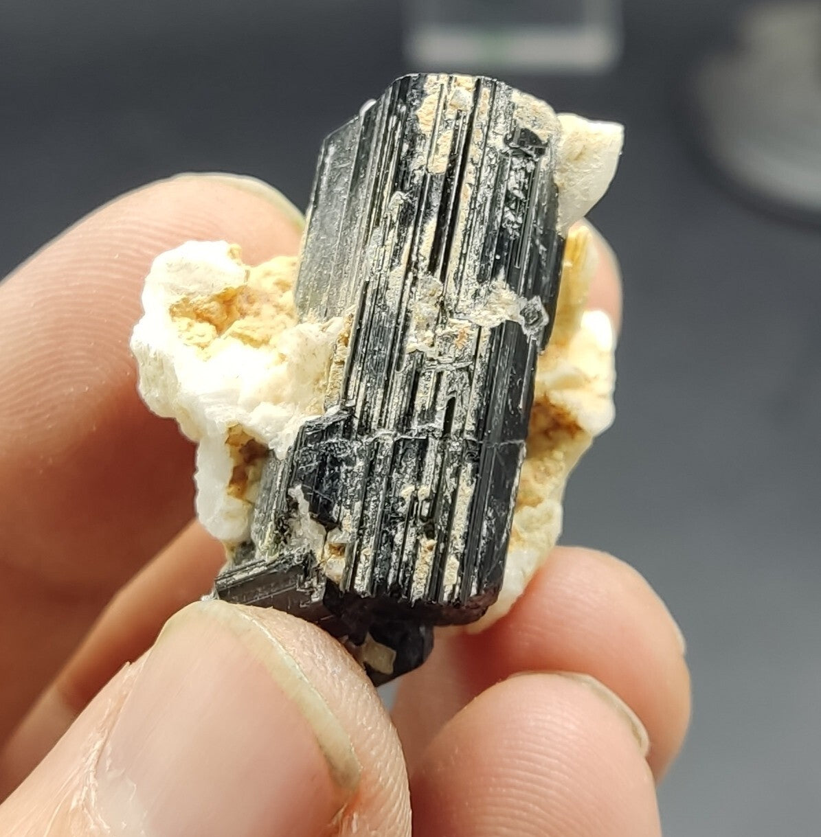 An aesthetic specimen of black tourmaline crystal on matrix 21 grams