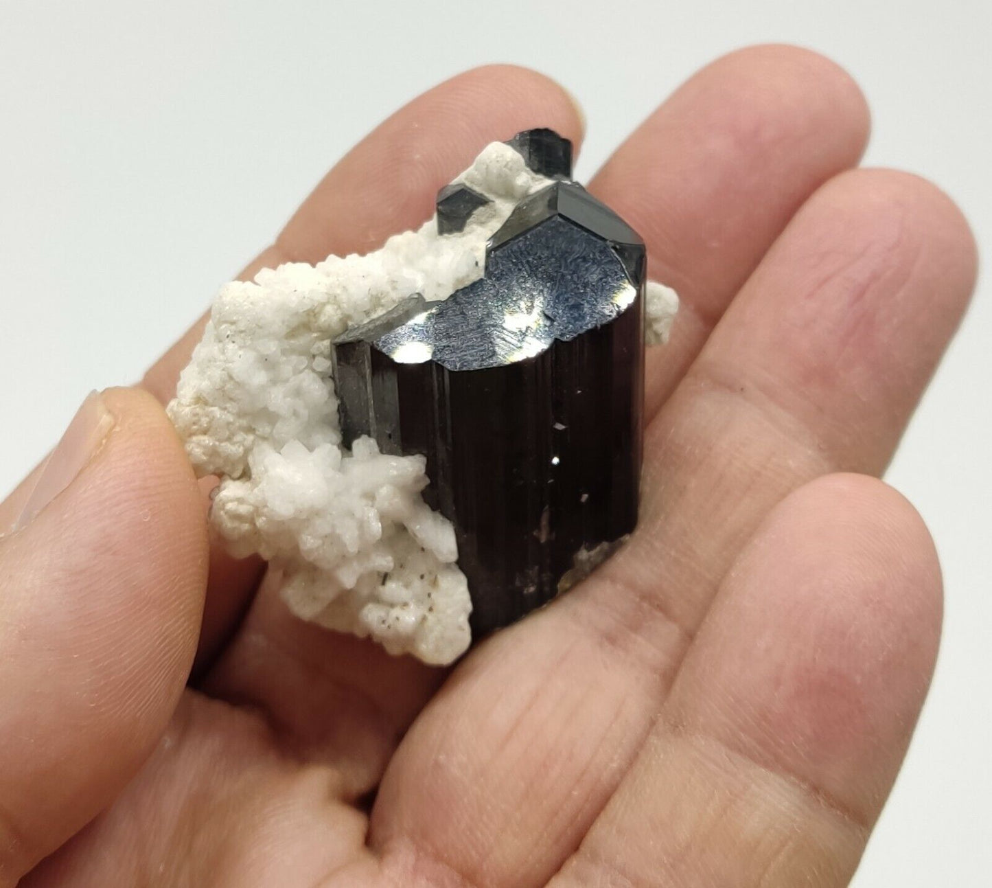 An Aesthetic Natural black Tourmaline specimen with albite 41 grams