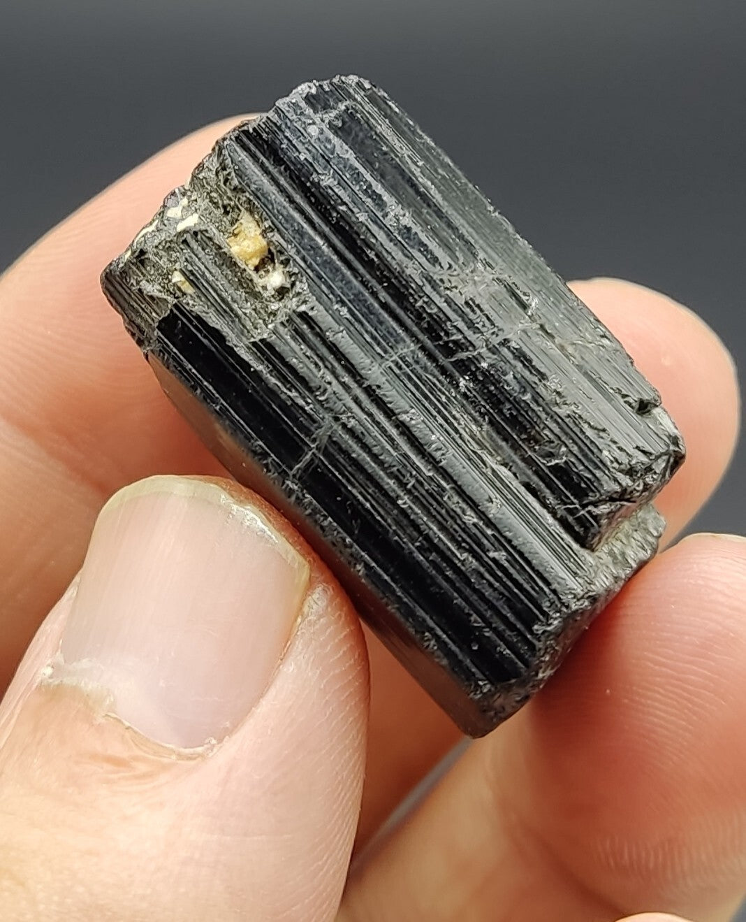 An amazing specimen of terminated black tourmaline 32 grams