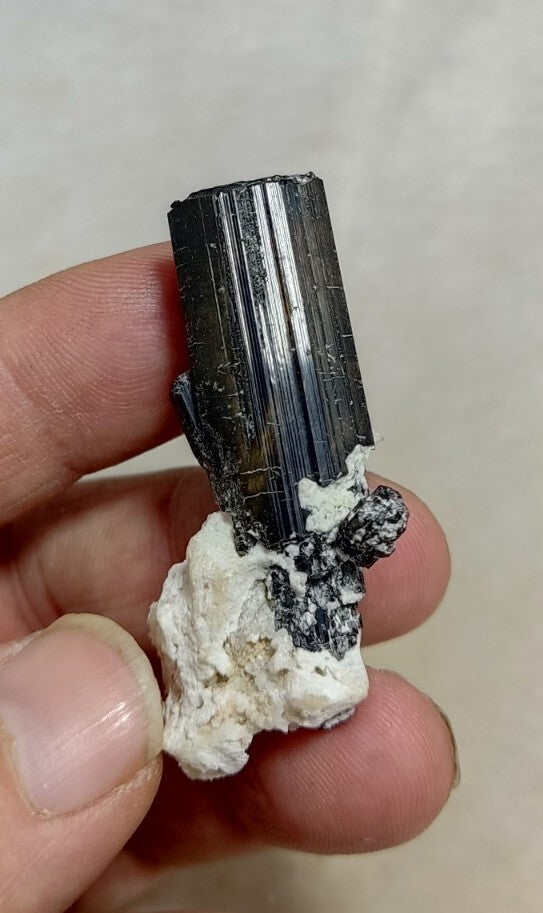 Natural Terminated Black Tourmaline Crystal 22 grams
