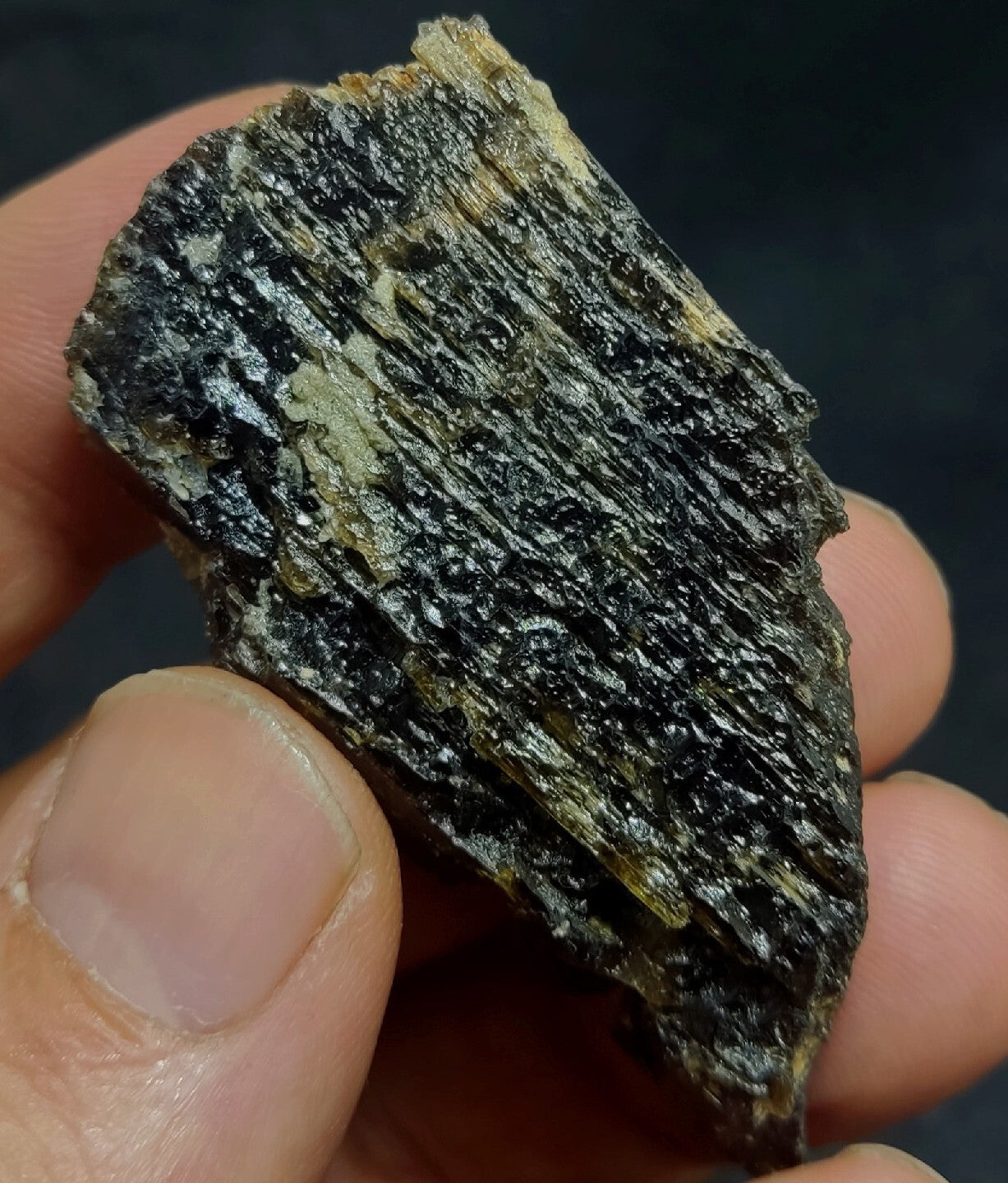 Single etched Epidote Crystal 32 grams