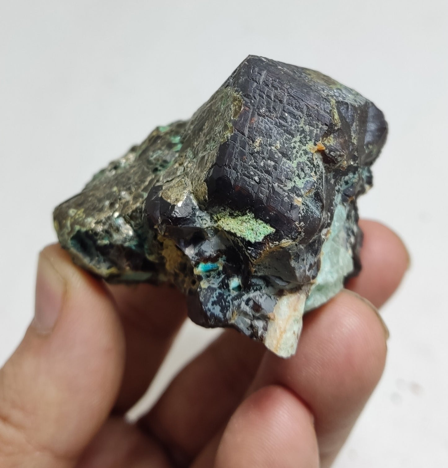 233 grams Aesthetic specimen Garnets cluster andradite garnets natural garnets