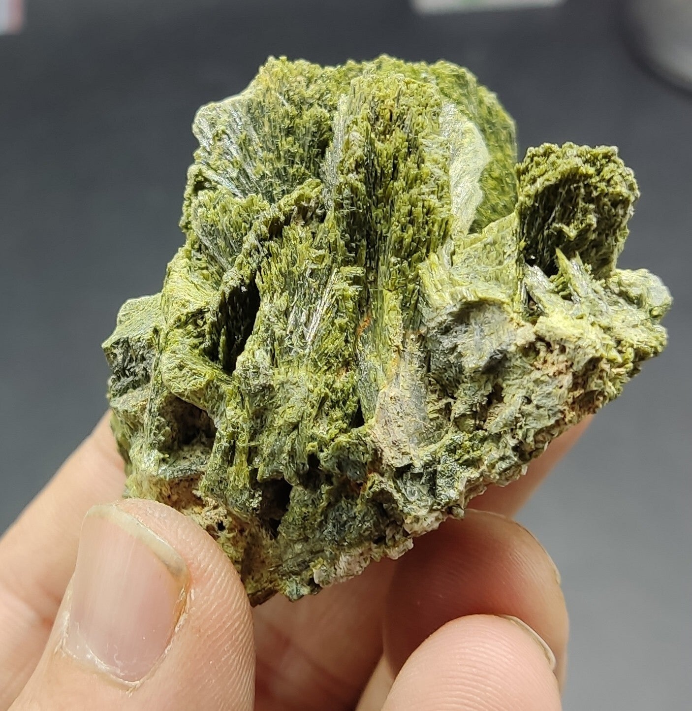 An aesthetic specimen of epidote crystal spray type 107 grams