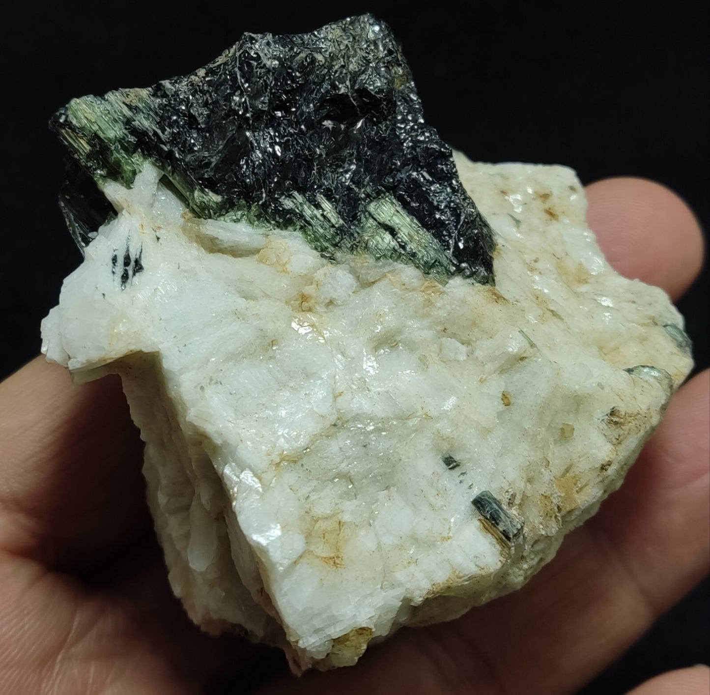 An Aesthetic specimen of black/green Tourmaline on matrix with Albite 169 grams