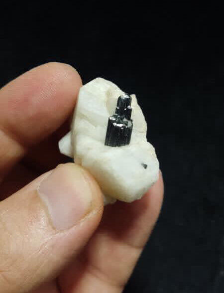 Tourmaline on albite