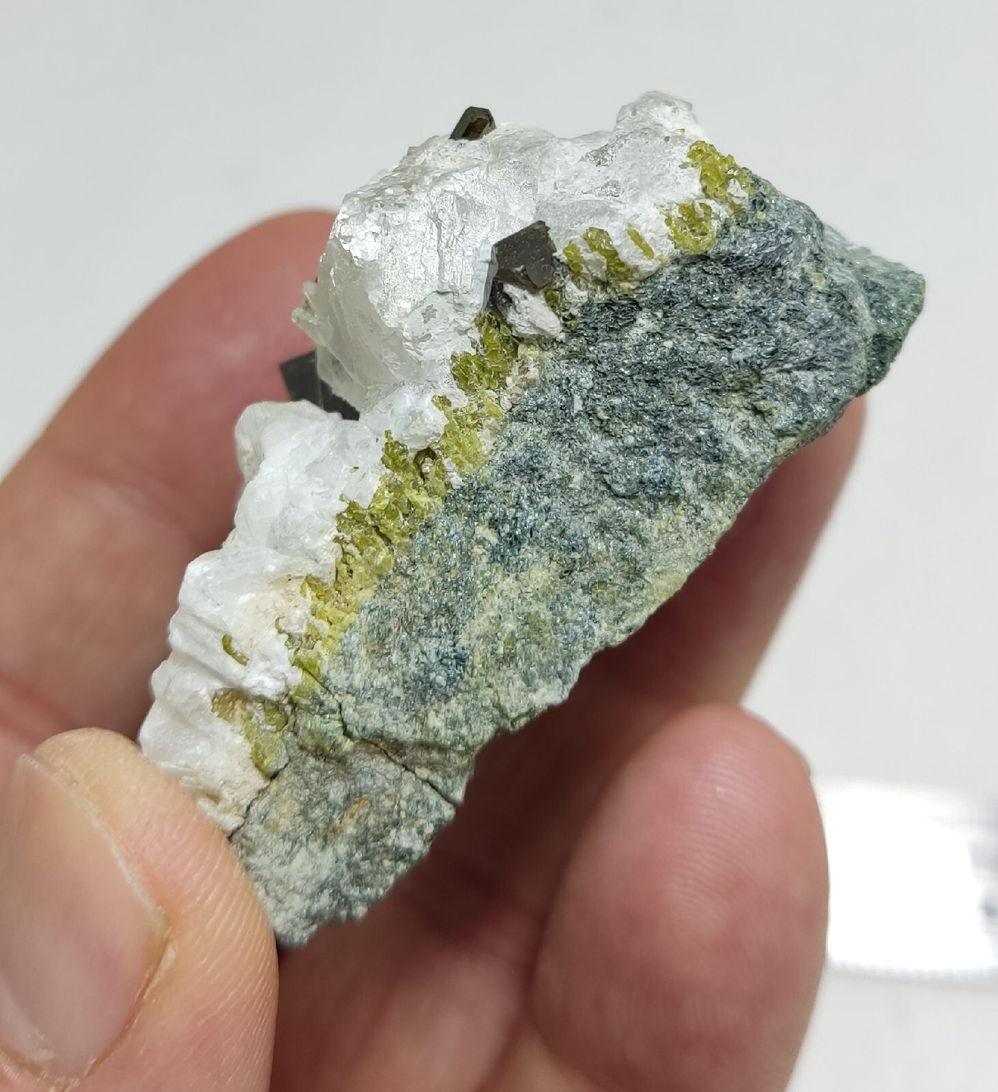 Andradite garnets on matrix with epidote and calcite 91 grams