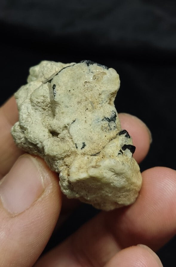 Natural Terminated Black Tourmaline Crystal on Matrix 35 grams