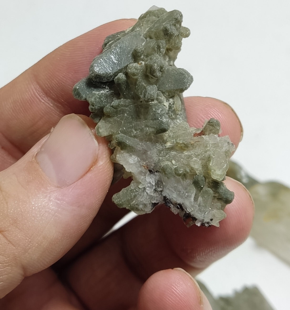 An Aesthetic terminated chlorite Quartz clusters lot of  4 specimens