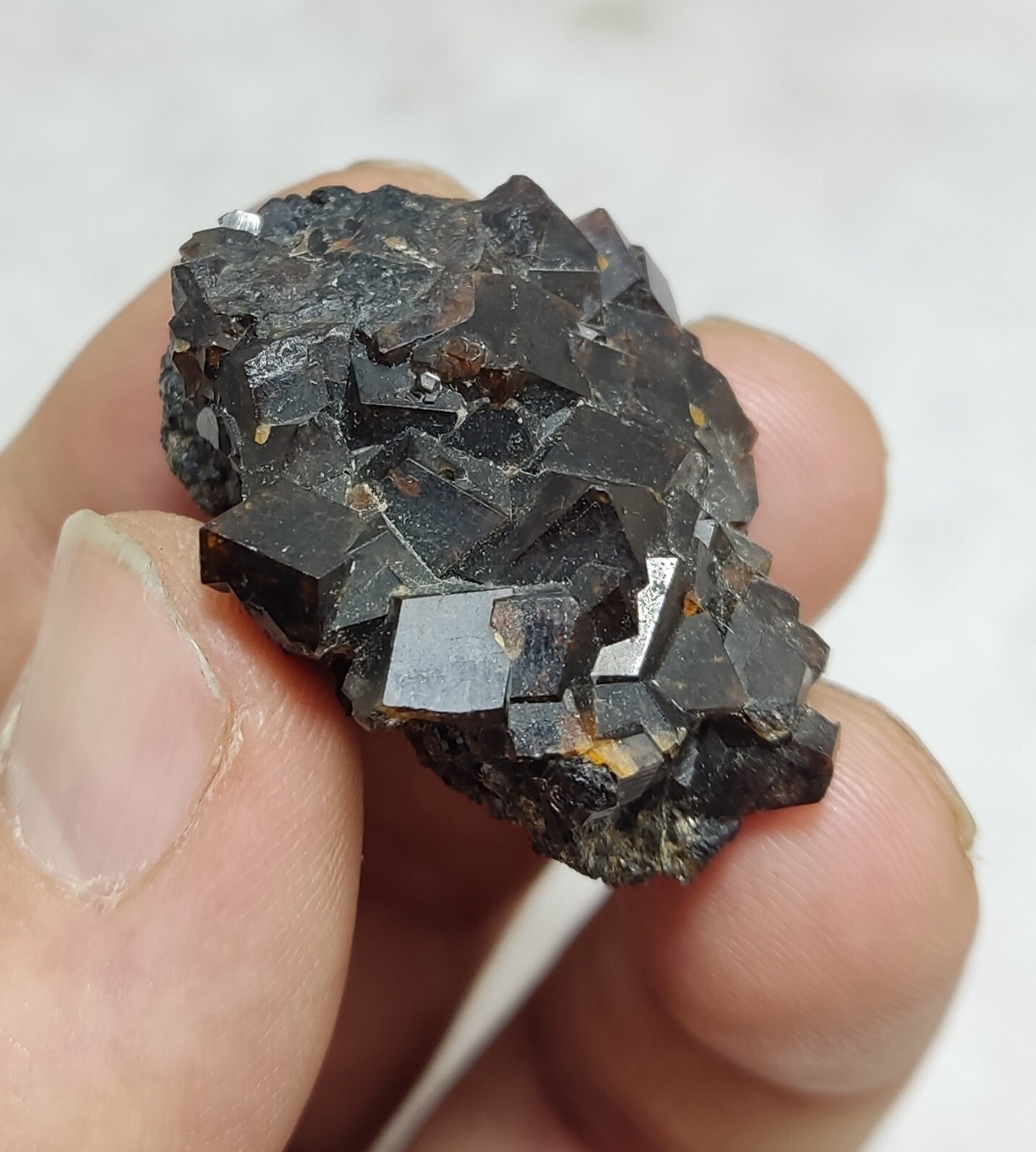 An Aesthetic specimen of andradite garnets on matrix 28 grams