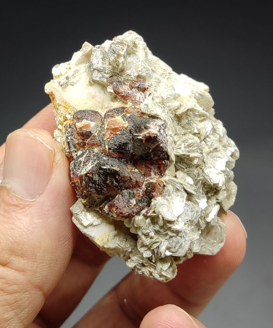 An aesthetic specimen of spessartine garnets on muscovite 58 grams
