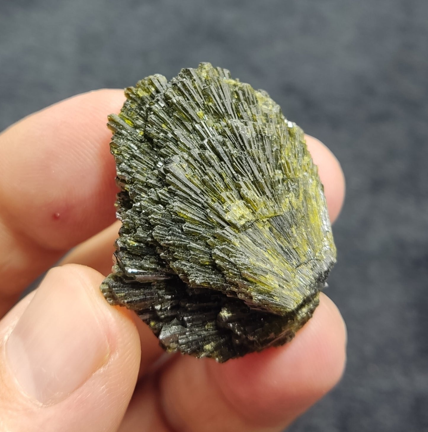 Single natural Epidote Crystal spray formations 22 grams