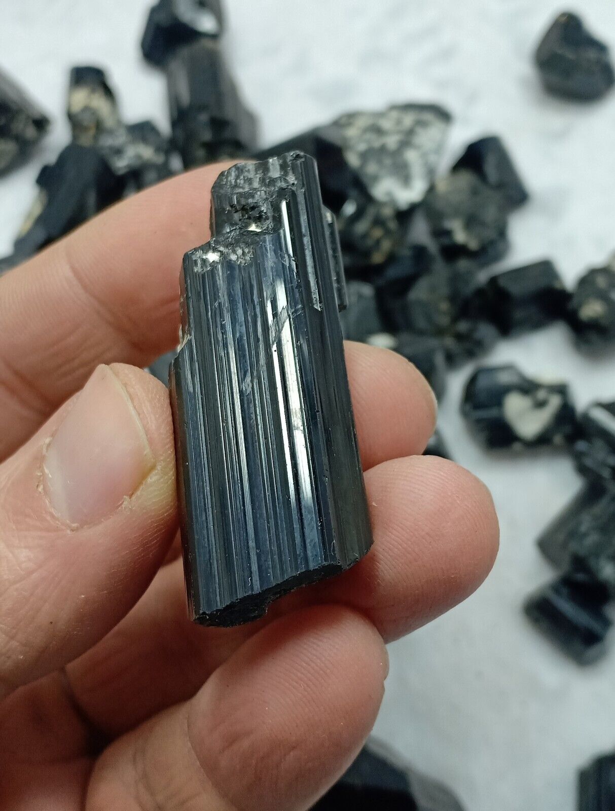 1100 grams Natural black Tourmaline crystals