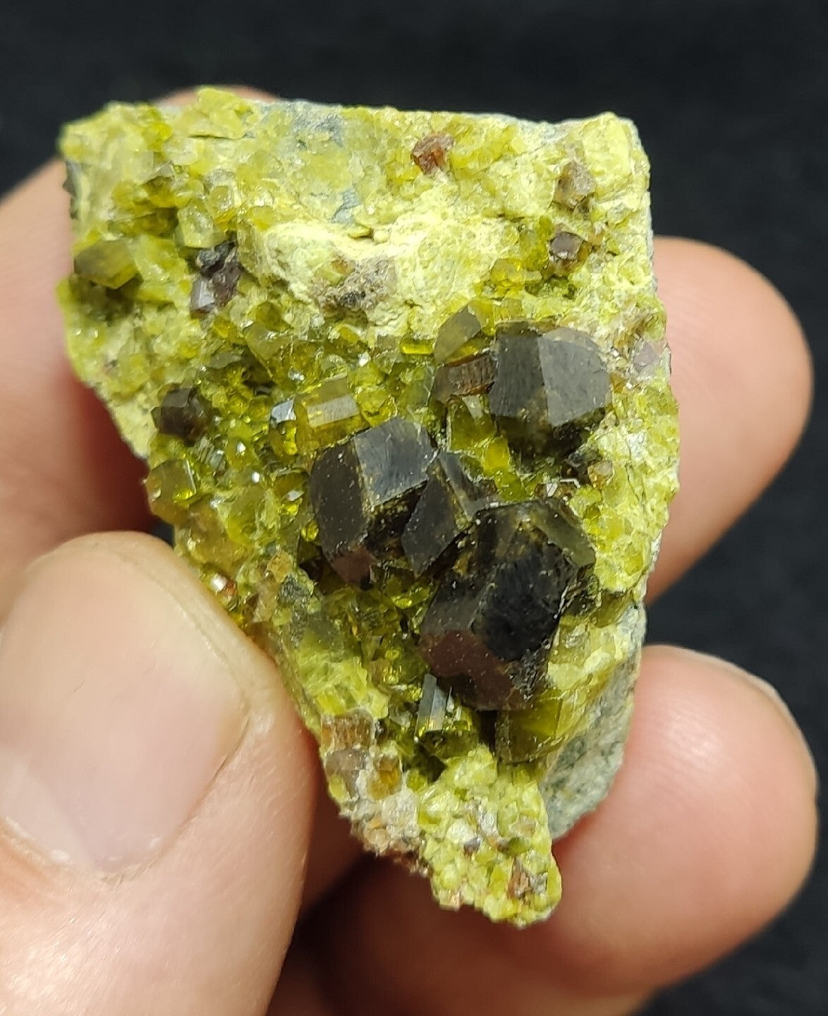 Andradite Garnets Crystals on matrix with Epidotes 40 grams