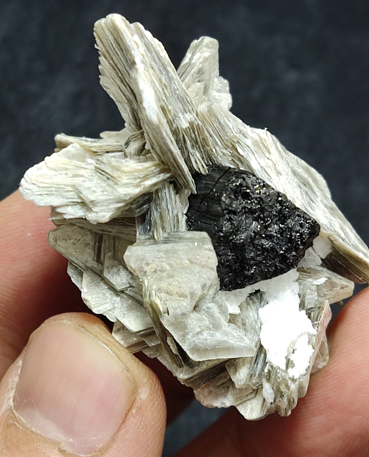 An Aesthetic specimen of muscovite with Tourmaline and albite 27 grams