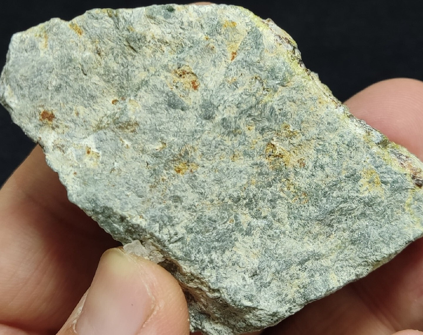 Andradite Garnet On Matrix With Epidotes 101 grams